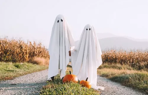 10 Halloween movies that are perfect for a night in