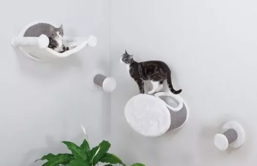 How to keep your cat entertained indoors
