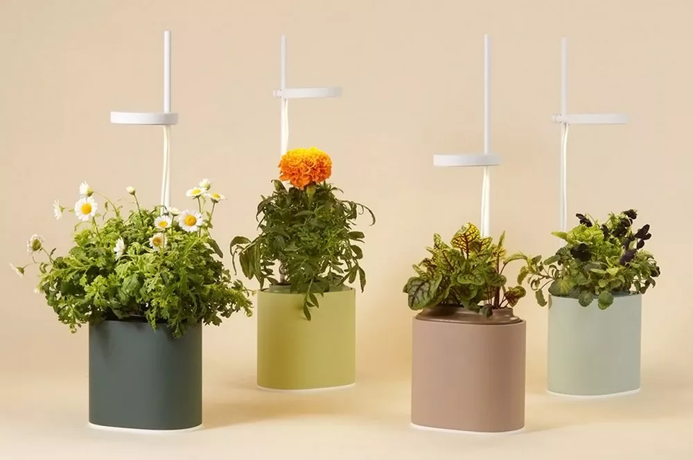 How To Get Started With Indoor Gardening?